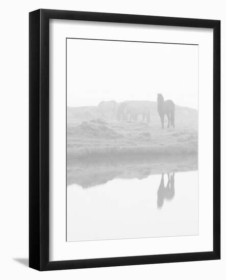 Herd of Horses in the Mist, Iceland-Nadia Isakova-Framed Photographic Print