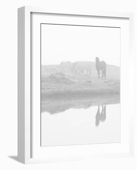 Herd of Horses in the Mist, Iceland-Nadia Isakova-Framed Photographic Print