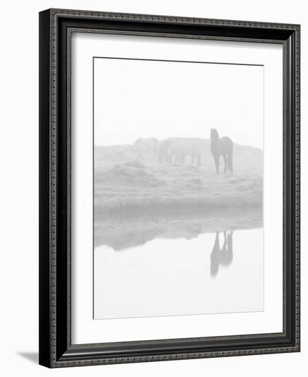 Herd of Horses in the Mist, Iceland-Nadia Isakova-Framed Photographic Print