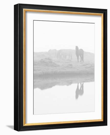 Herd of Horses in the Mist, Iceland-Nadia Isakova-Framed Photographic Print