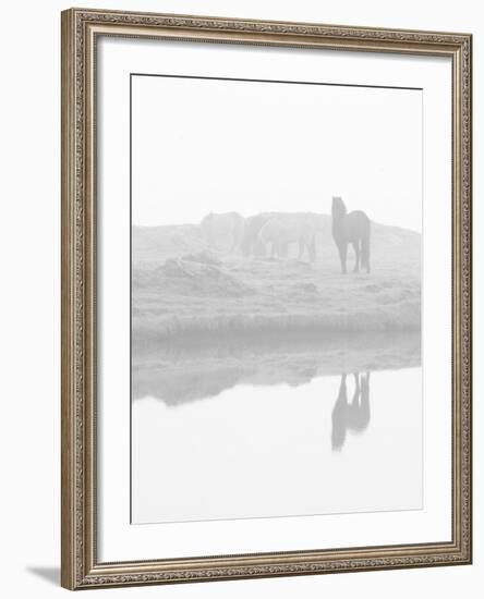 Herd of Horses in the Mist, Iceland-Nadia Isakova-Framed Photographic Print