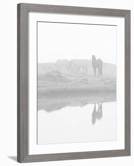 Herd of Horses in the Mist, Iceland-Nadia Isakova-Framed Photographic Print