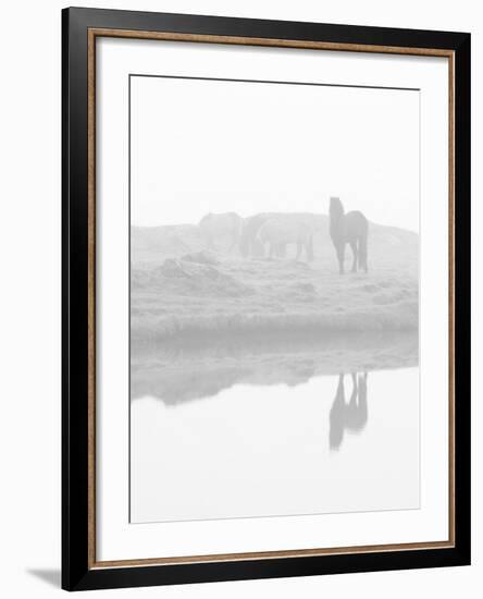 Herd of Horses in the Mist, Iceland-Nadia Isakova-Framed Photographic Print