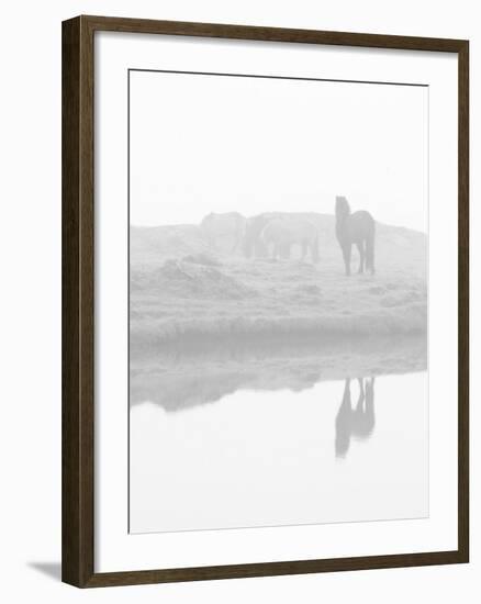 Herd of Horses in the Mist, Iceland-Nadia Isakova-Framed Photographic Print