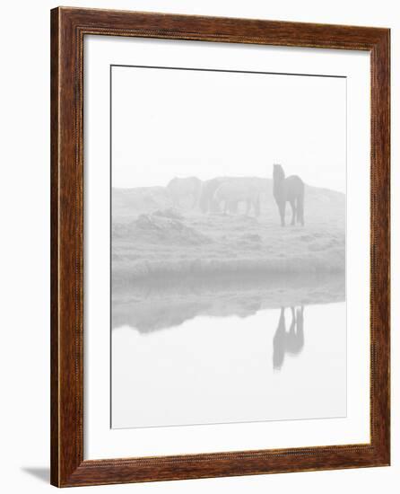 Herd of Horses in the Mist, Iceland-Nadia Isakova-Framed Photographic Print