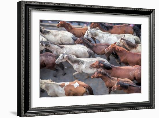 Herd of Horses, -Saca De Las Yeguas- Festival-Felipe Rodriguez-Framed Photographic Print