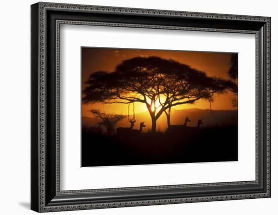 Herd Of Impala (Aepyceros Melampus) Silhouetted At Sunset, Ngorongoro Conservation Area, Tanzania-Juan Carlos Munoz-Framed Photographic Print