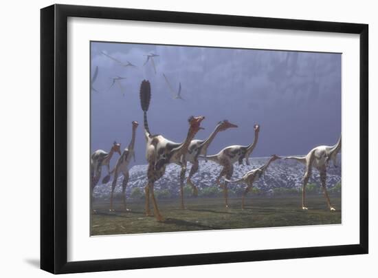 Herd of Mononykus Followed by a Flock of Pteranodons-Stocktrek Images-Framed Art Print