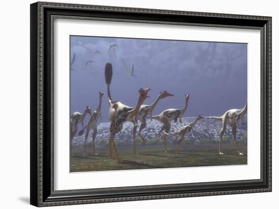 Herd of Mononykus Followed by a Flock of Pteranodons-Stocktrek Images-Framed Art Print