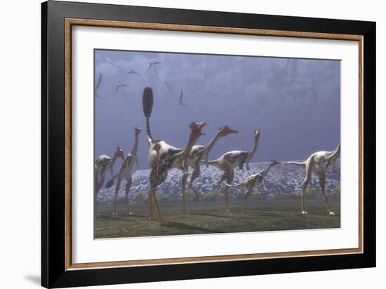 Herd of Mononykus Followed by a Flock of Pteranodons-Stocktrek Images-Framed Premium Giclee Print