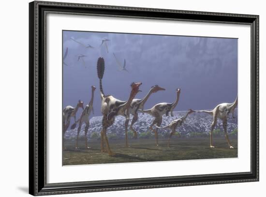 Herd of Mononykus Followed by a Flock of Pteranodons-Stocktrek Images-Framed Art Print