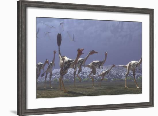 Herd of Mononykus Followed by a Flock of Pteranodons-Stocktrek Images-Framed Art Print