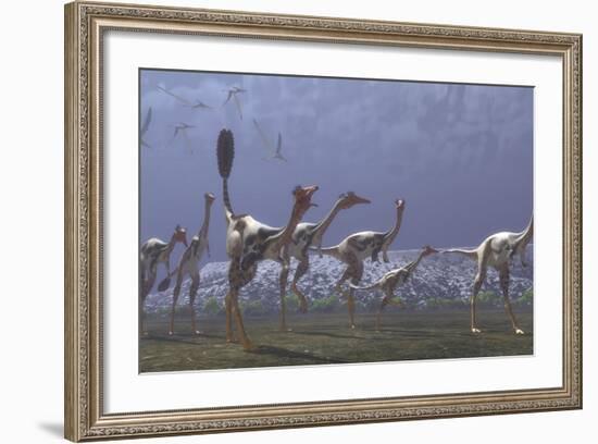 Herd of Mononykus Followed by a Flock of Pteranodons-Stocktrek Images-Framed Art Print