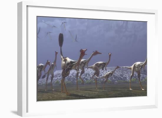 Herd of Mononykus Followed by a Flock of Pteranodons-Stocktrek Images-Framed Art Print