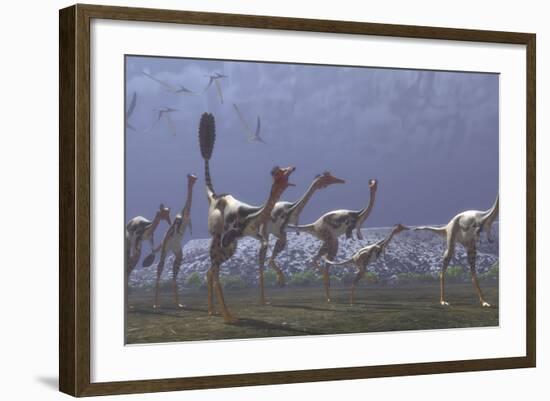 Herd of Mononykus Followed by a Flock of Pteranodons-Stocktrek Images-Framed Art Print