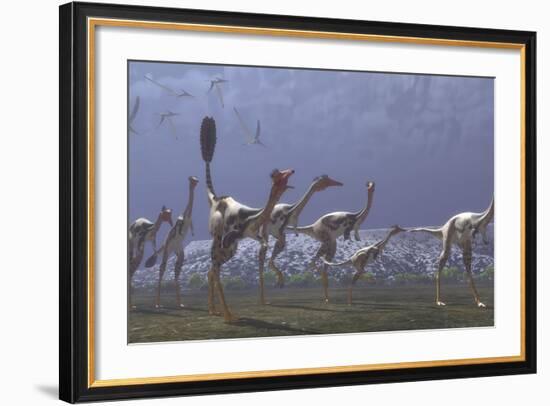 Herd of Mononykus Followed by a Flock of Pteranodons-Stocktrek Images-Framed Art Print