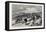 Herd of Reindeer in Lapland-null-Framed Premier Image Canvas