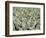 Herd of Sheep-Mitch Diamond-Framed Photographic Print