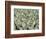 Herd of Sheep-Mitch Diamond-Framed Photographic Print