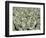 Herd of Sheep-Mitch Diamond-Framed Photographic Print