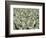 Herd of Sheep-Mitch Diamond-Framed Photographic Print