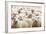 Herd of Sheep-DmitryP-Framed Photographic Print