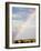 Herd of Springbok (Antidorcas Marsupialis) in Landscape, Kgalagadi Transfrontier Park, South Africa-Ann & Steve Toon-Framed Photographic Print