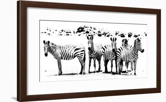 Herd of Stripes-null-Framed Giclee Print