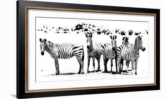 Herd of Stripes-null-Framed Giclee Print