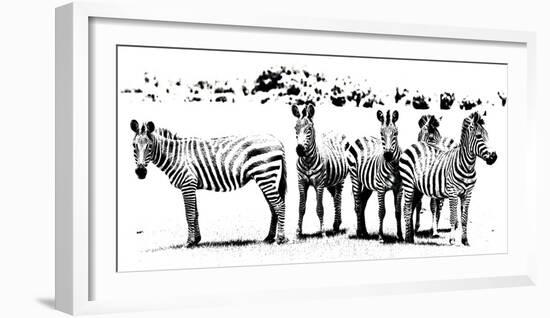 Herd of Stripes-null-Framed Giclee Print