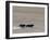 Herd of Wild Yaks Running across the Chang Tang Nature Reserve of Central Tibet., December 2006-George Chan-Framed Photographic Print