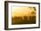 Herd of Wildebeests Silhouetted in Golden Dust, Ngorongoro, Tanzania-James Heupel-Framed Photographic Print