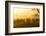 Herd of Wildebeests Silhouetted in Golden Dust, Ngorongoro, Tanzania-James Heupel-Framed Photographic Print