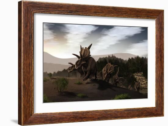 Herd of Xenoceratops Foremostensis from the Cretaceous Period-null-Framed Art Print