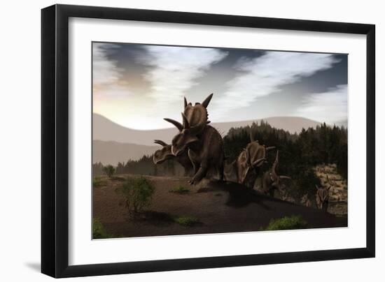 Herd of Xenoceratops Foremostensis from the Cretaceous Period-null-Framed Art Print