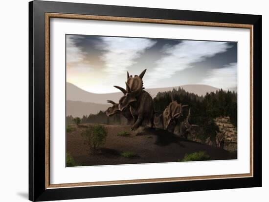 Herd of Xenoceratops Foremostensis from the Cretaceous Period-null-Framed Art Print