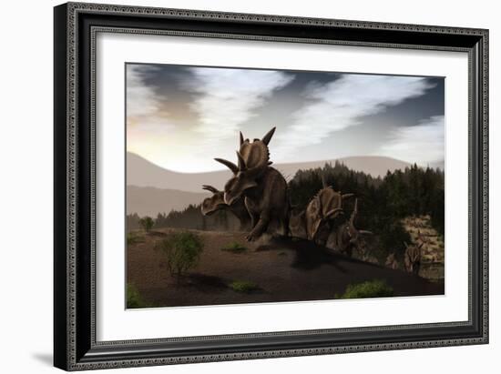 Herd of Xenoceratops Foremostensis from the Cretaceous Period-null-Framed Art Print