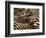 Herd of Zebras-John Conrad-Framed Photographic Print