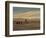 Herding Camel Train, Inner Mongolia-Vincent Haddelsey-Framed Giclee Print