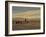 Herding Camel Train, Inner Mongolia-Vincent Haddelsey-Framed Giclee Print