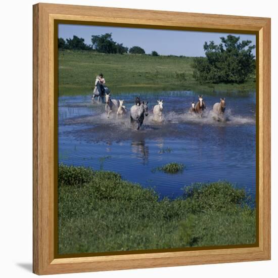 Herding Horses, Argentina-null-Framed Premier Image Canvas