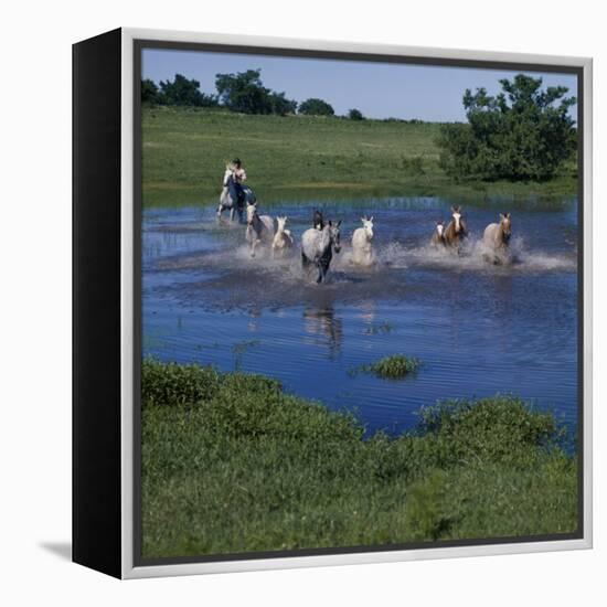 Herding Horses, Argentina-null-Framed Premier Image Canvas