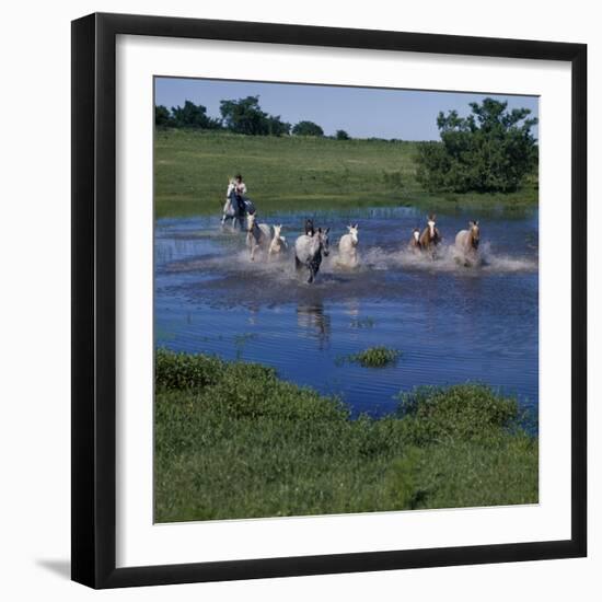 Herding Horses, Argentina-null-Framed Photographic Print