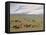 Herding Horses, Inner Mongolia-Vincent Haddelsey-Framed Premier Image Canvas