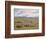 Herding Horses, Inner Mongolia-Vincent Haddelsey-Framed Giclee Print