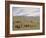 Herding Horses, Inner Mongolia-Vincent Haddelsey-Framed Giclee Print