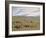 Herding Horses, Inner Mongolia-Vincent Haddelsey-Framed Giclee Print