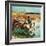 "Herding Horses", September 13, 1952-John Clymer-Framed Giclee Print