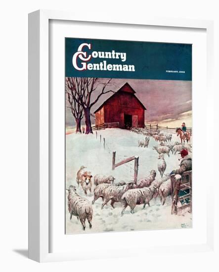 "Herding Sheep into Barn," Country Gentleman Cover, February 1, 1946-Matt Clark-Framed Giclee Print