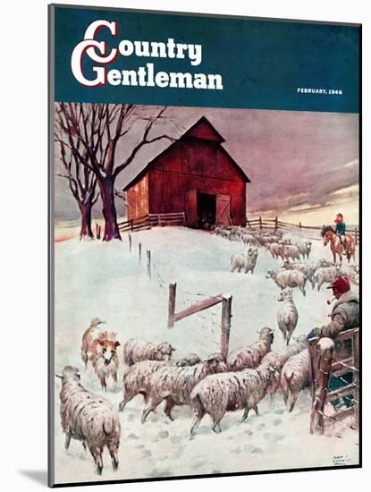 "Herding Sheep into Barn," Country Gentleman Cover, February 1, 1946-Matt Clark-Mounted Giclee Print